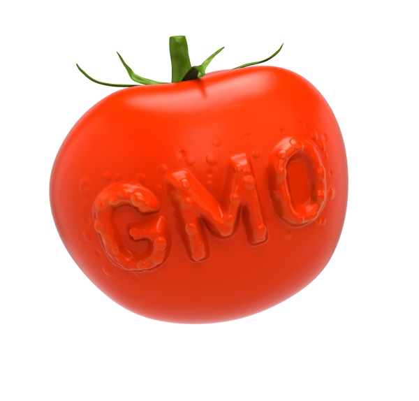 ГМО - Генно Модифицирани Организми