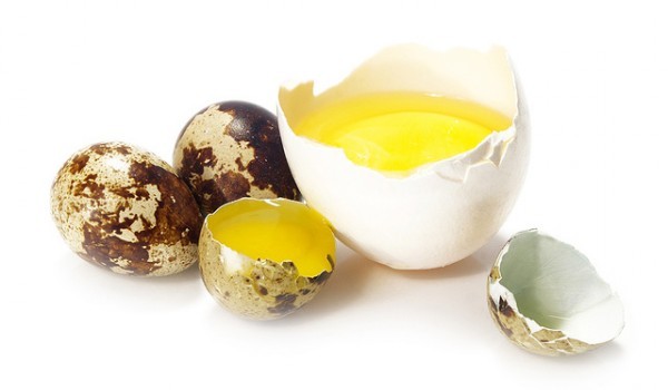 Защо са полезни пъдпъдъчите яйца? 1