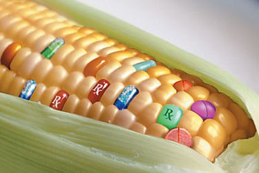 ЕС решават сами дали да забраняват ГМО